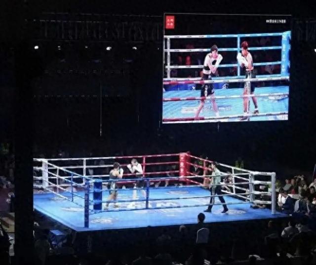 场面火爆!拳击观众席沸腾不已 场面火爆!拳击观众席沸腾不已