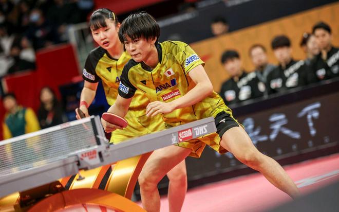 德国队轻取法国队，张本智和关键制胜