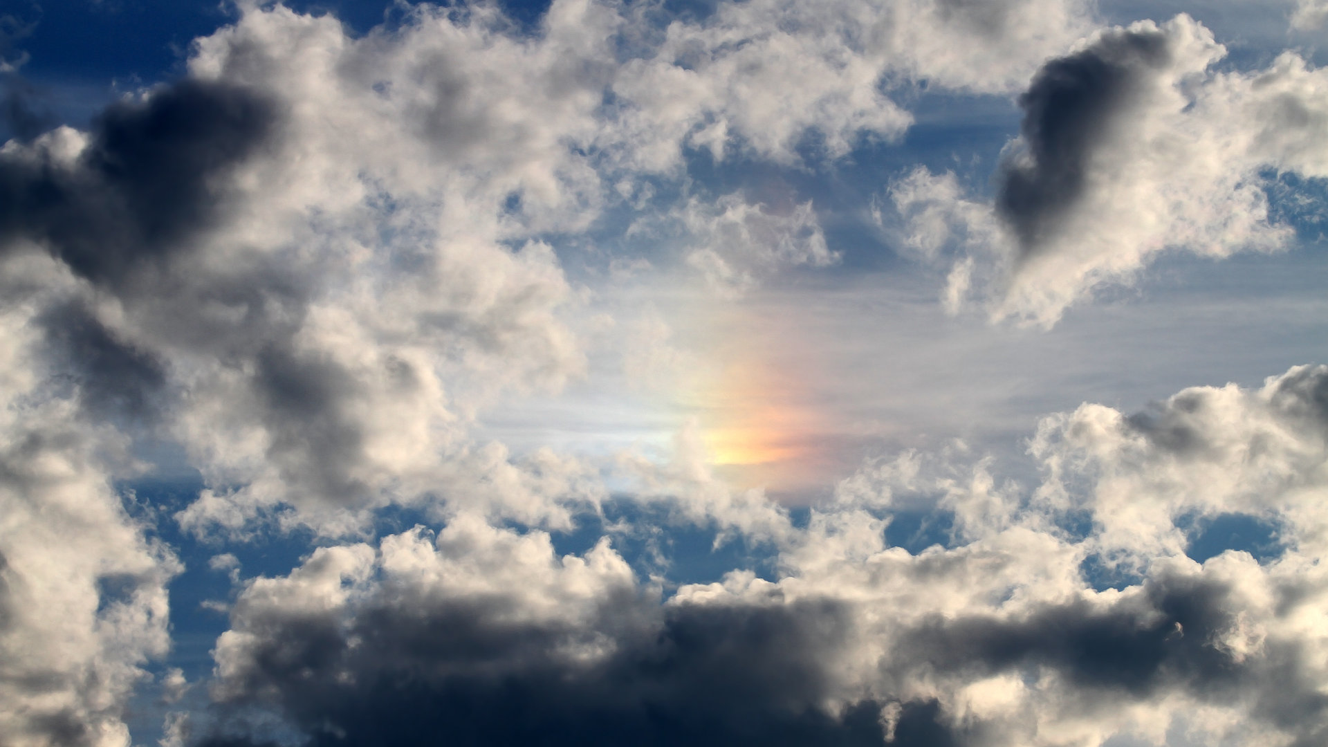 孤星破阵，爱德华兹独舞撕裂浙江防线，上海鏖战取关键一胜