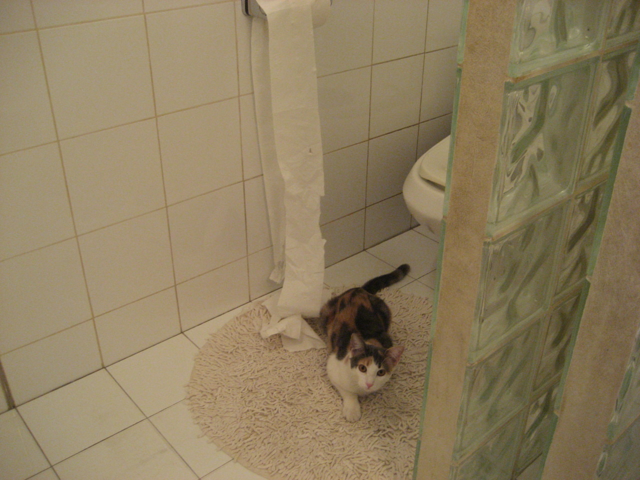 刀锋般的冷静,迪马利亚与莱比锡红牛诠释关键战的决胜艺术