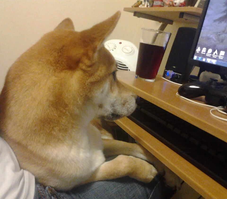 舞台越大，心越决绝，当公牛咆哮与利拉德时刻交响