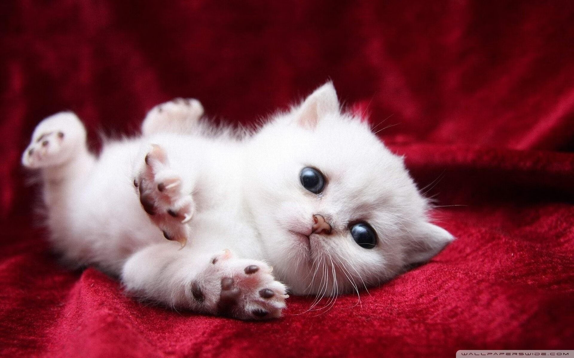 莫兰特如何成为尼克斯攻防转换的核心？决胜局力克76人的秘密