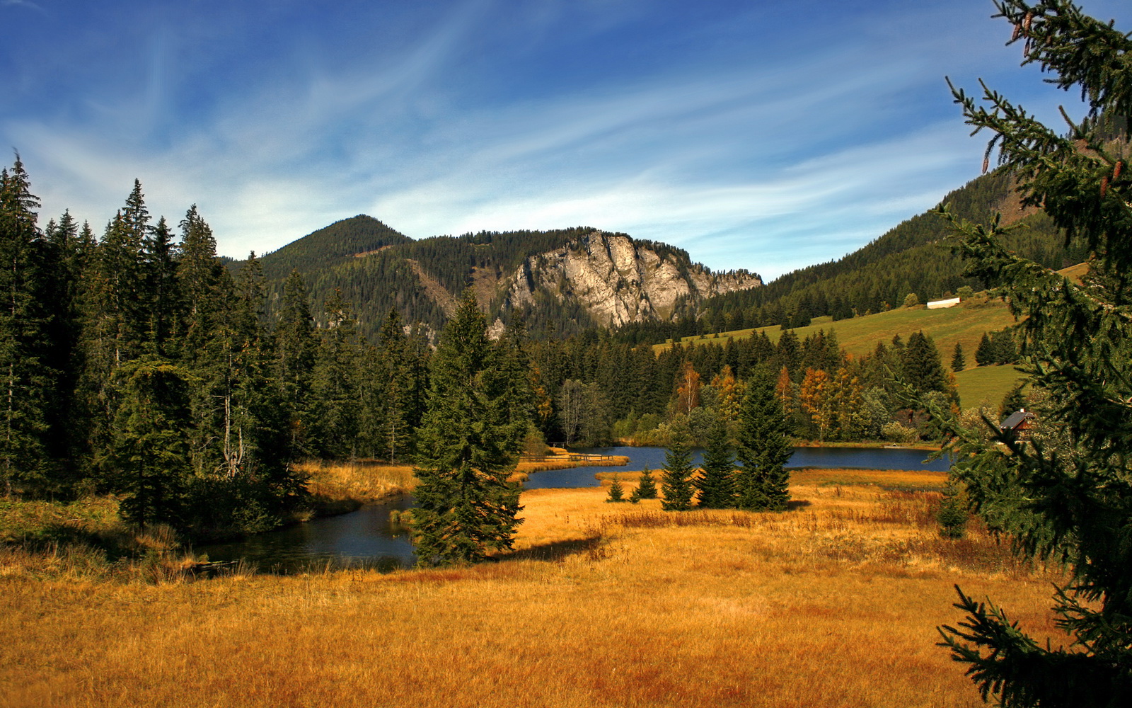 若日尼奥爆发之夜，奥地利淘汰国际米兰，论偶然与秩序的绿茵悖论