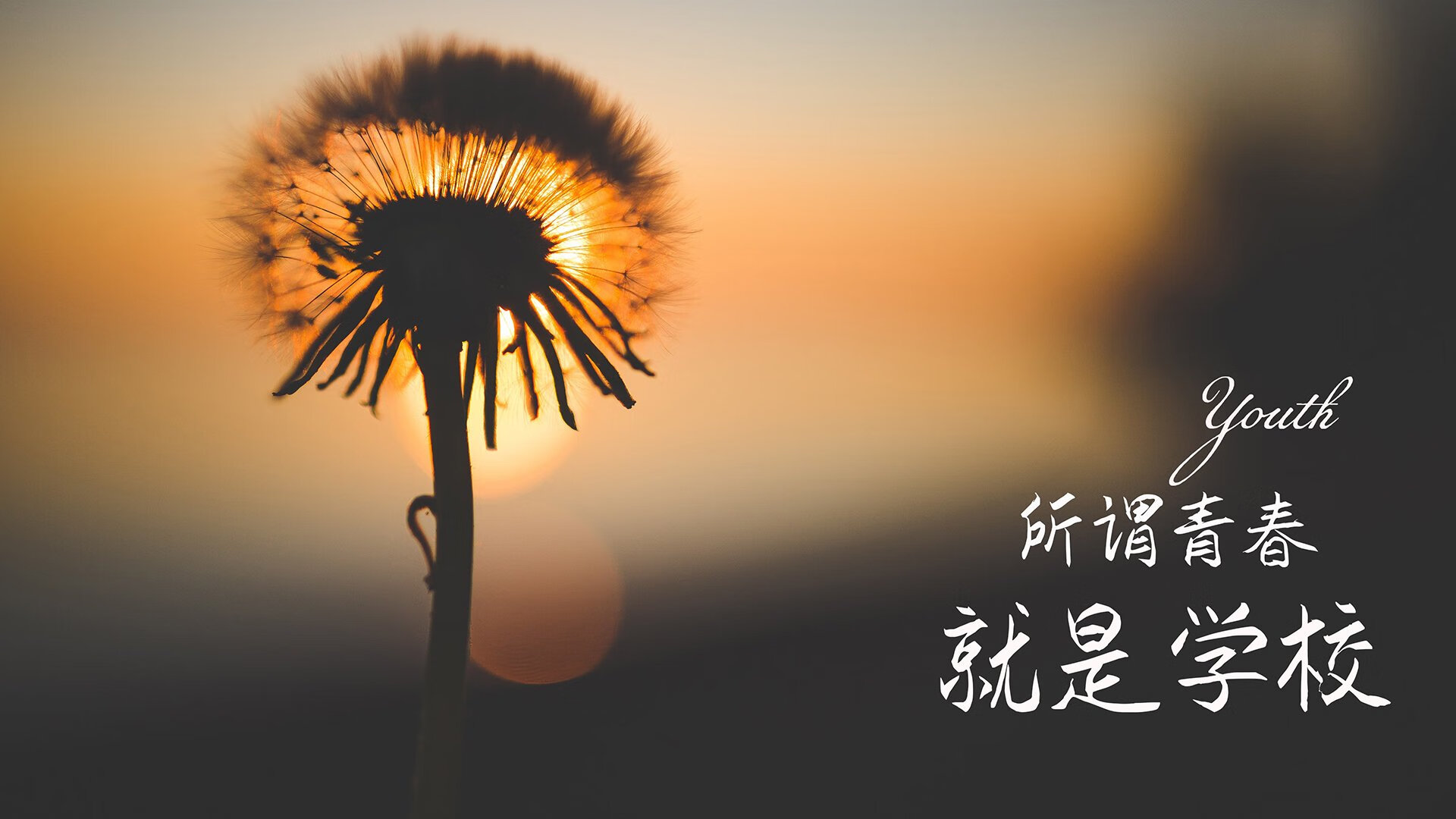 开云体育APP下载-史诗的二元对立，2026世界杯，当冰岛的冰雪铁壁被摩洛哥的沙漠洪流冲垮，三笘薰与无名门神如何勾勒最极致的唯一